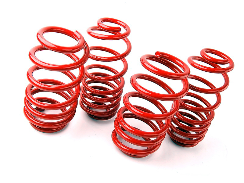 Mercedes-Benz CLS-Class CLS500 CLS550 W219 Supersport Lowering Springs